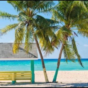 Meet your Posher, Helen